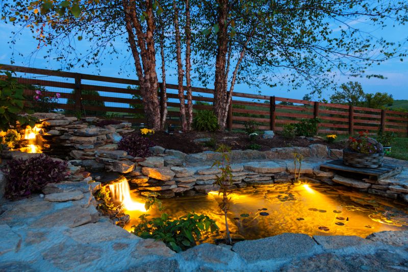 Pond Lighting Installation in Denver, CO