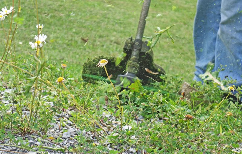 Weed Trimming