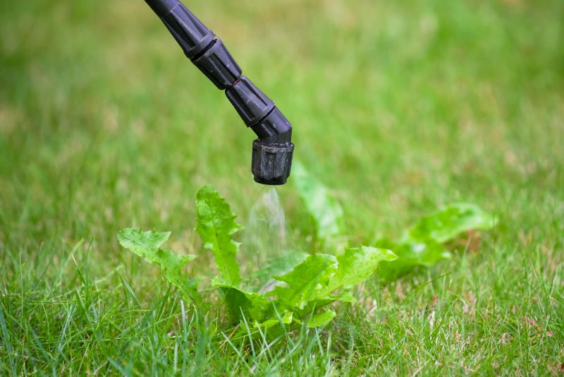 Crabgrass Prevention in Honolulu, HI