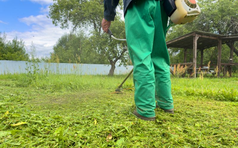 Crabgrass Removal in Honolulu, HI