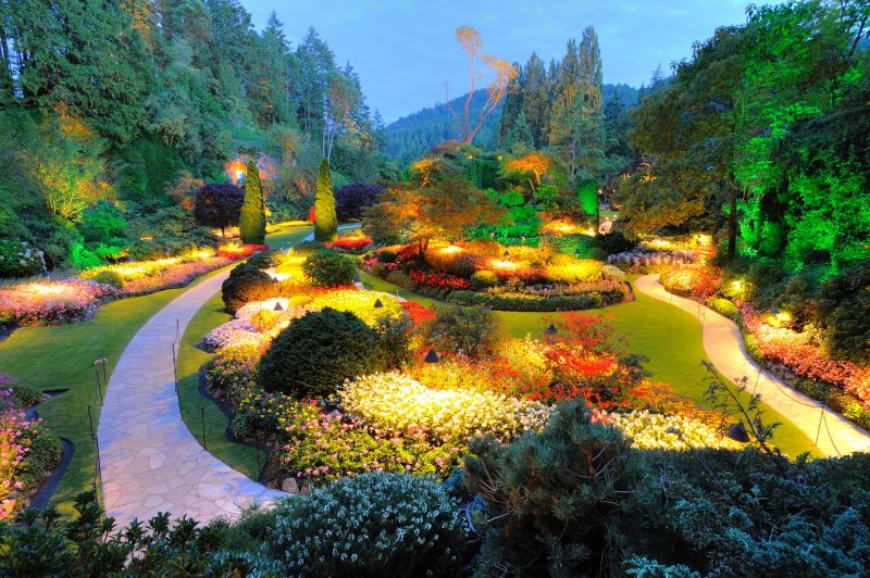 Landscape Electrical Service in Denver, CO