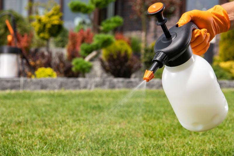 Lawn Disease Treatment in Ventura County, CA