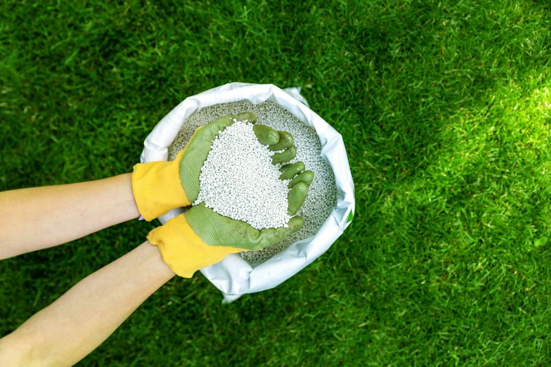 Lawn Enrichment in Honolulu, HI