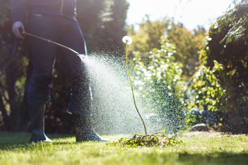 Weed Control Service in Ventura County, CA