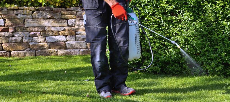 Weed Control Service in Ventura County, CA