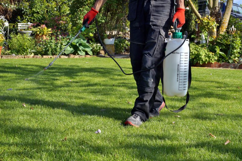 Yard Improvement Service in Honolulu, HI