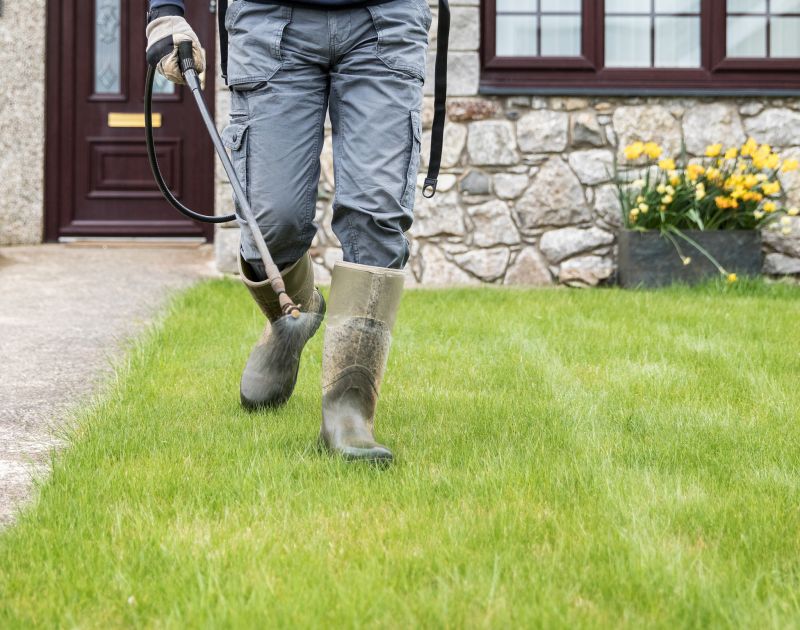 Yard Treatment Service